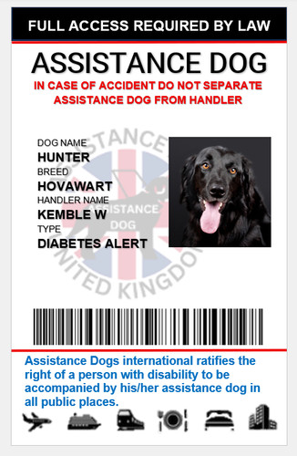 Assistant dog service - assistant,